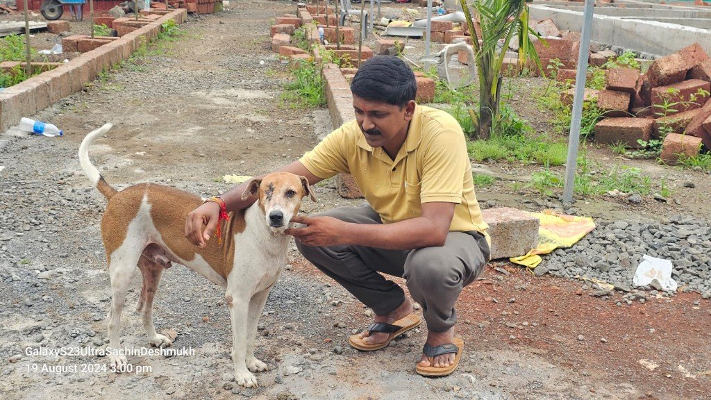 A caregiver kneeling beside a rescued dog at Panvatha sanctuary