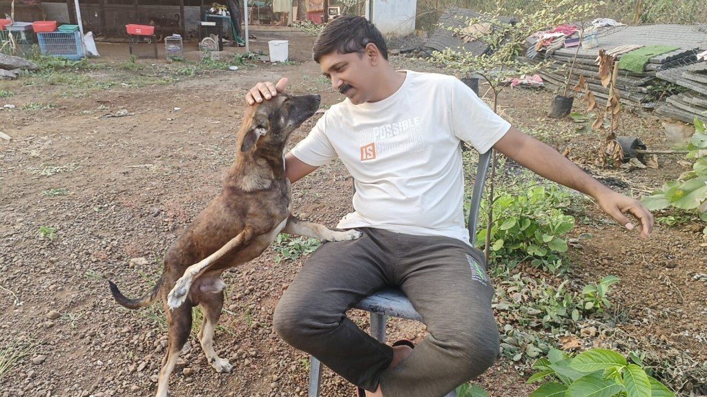 A rescued dog standing on hind legs while bonding with a caregiver at Panvatha